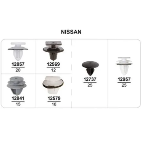Coffret de 115 assortiments d'agrafes de panneaux de portes et moulures pour NISSAN, Neuf