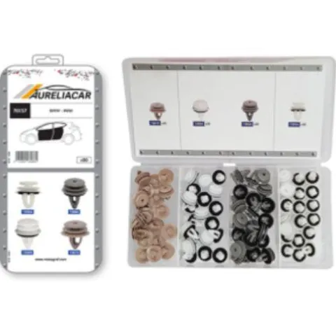 Coffret de 80 assortiments d'agrafes de panneaux de portes pour BMW MINI, Neuf