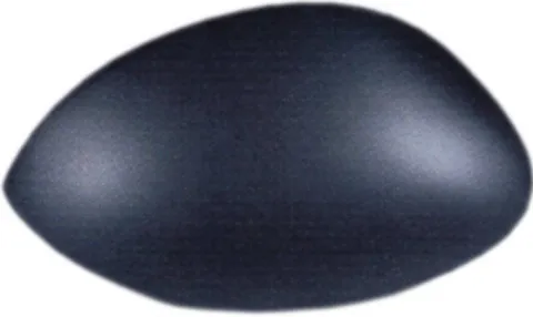 Coque rétroviseur gauche pour CITROËN C3 I phase 1, 2002-2005, noire, Neuve